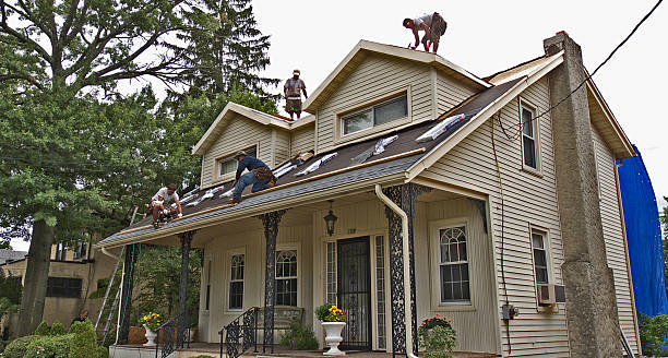 Best Storm Damage Roof Repair  in Nesquehoning, PA